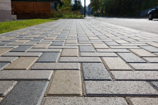 Best Decorative Driveway Pavers  in Clearwater, FL